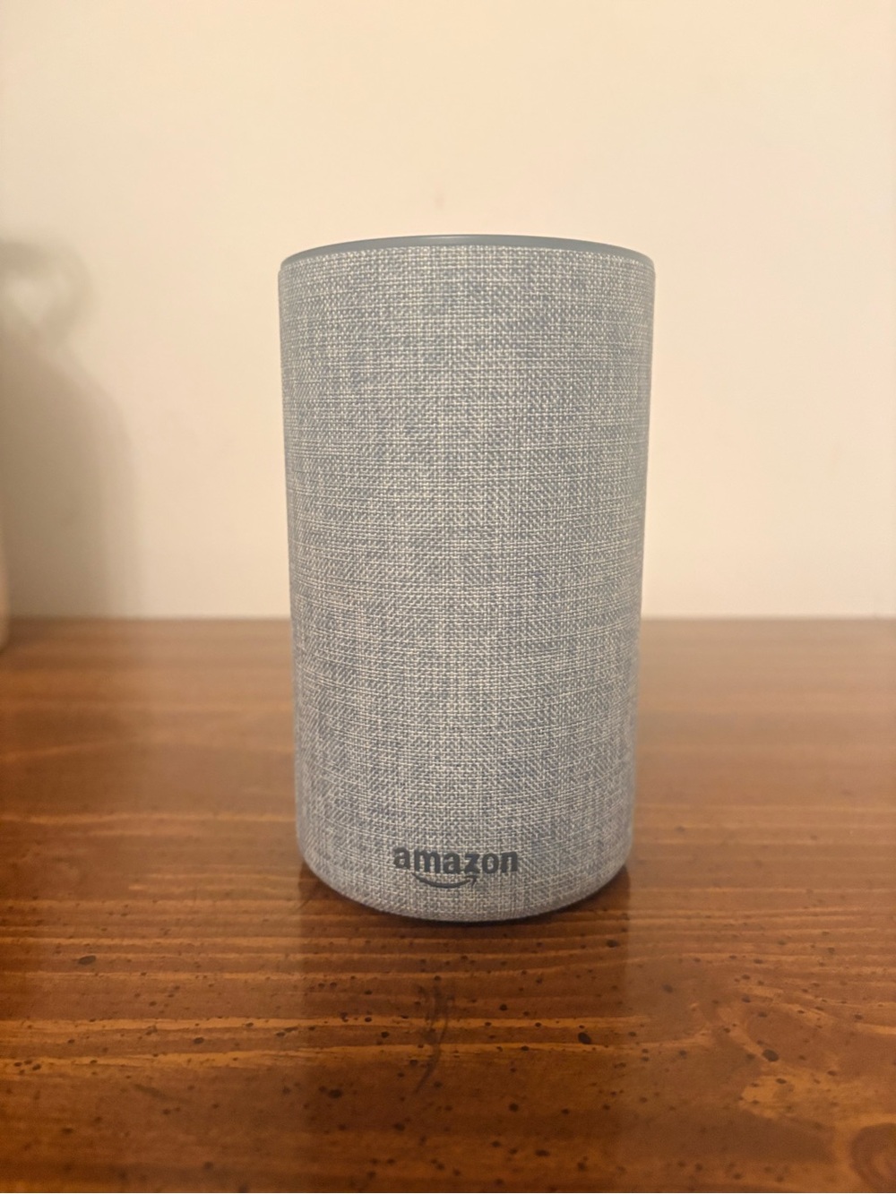 Amazon Cylindrical Smart Speaker in Light Gray Fabric